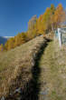 20091030_112234 Sentiero presso l'Alpe Cermine.jpg